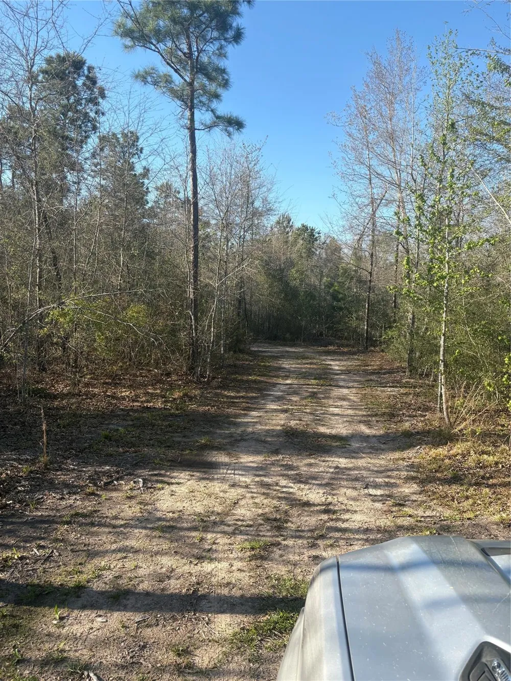 County Road 4180 Lovelady, TX 75851
