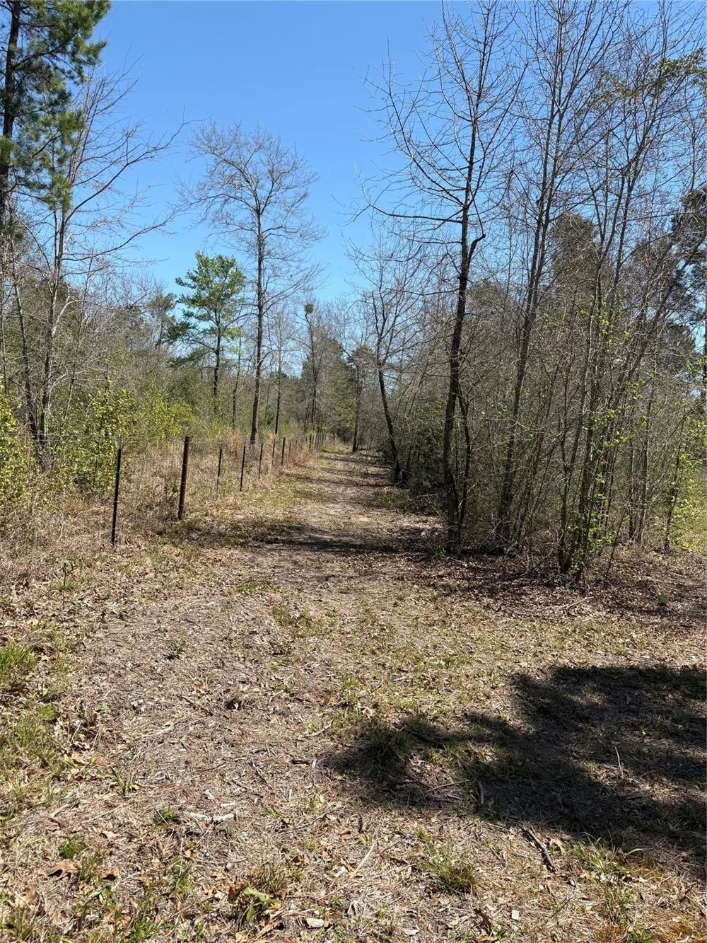 County Road 4180 Lovelady, TX 75851