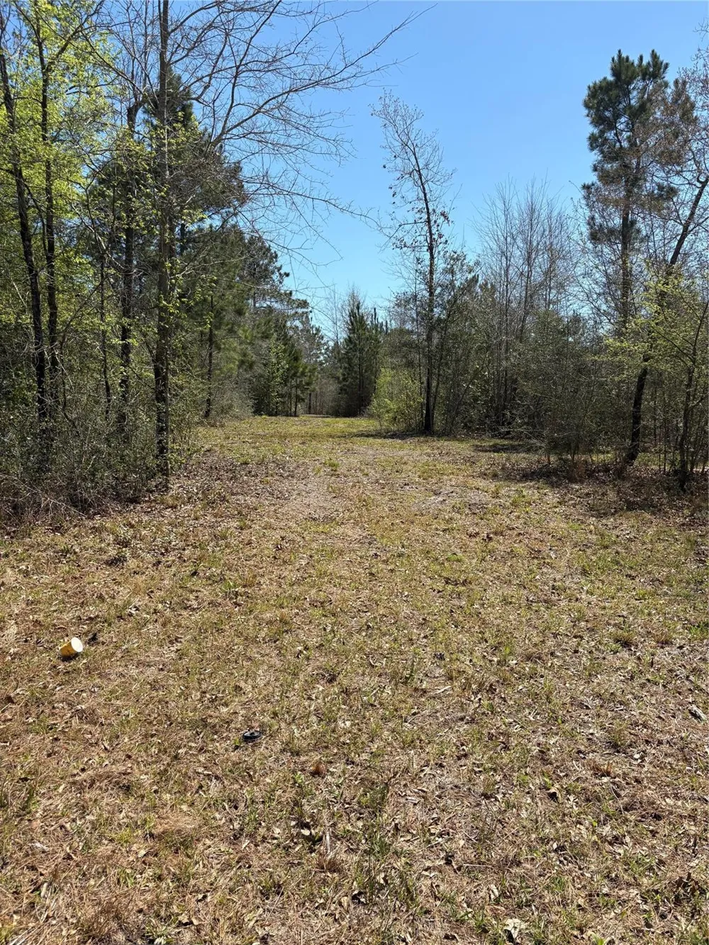 County Road 4180 Lovelady, TX 75851