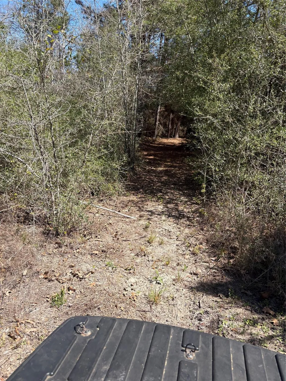 County Road 4180 Lovelady, TX 75851