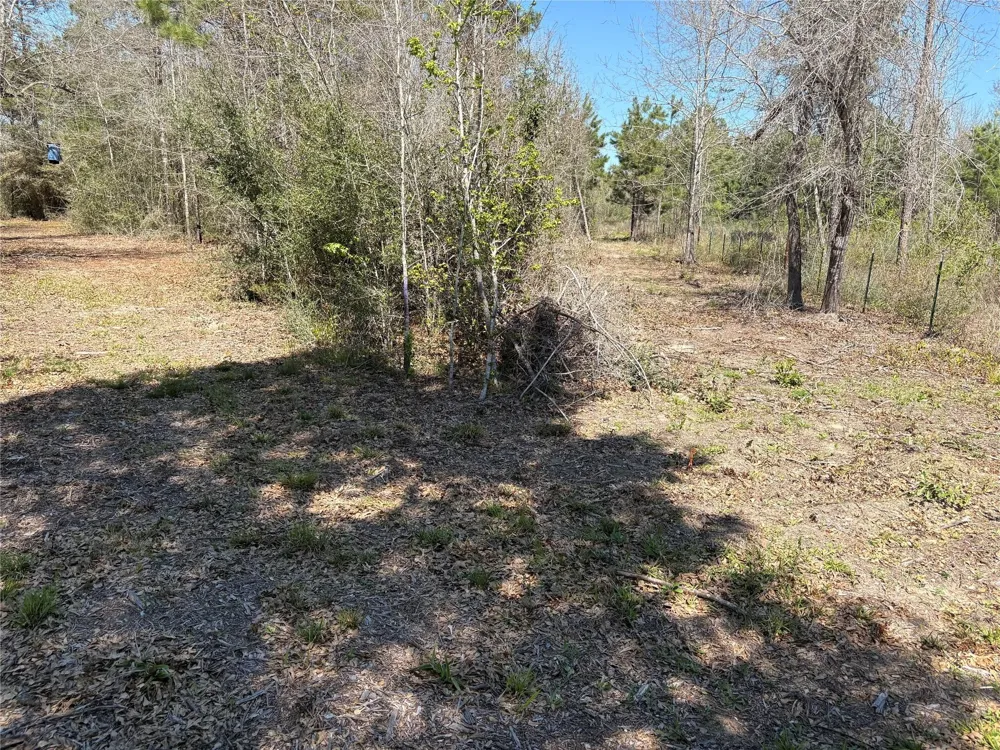County Road 4180 Lovelady, TX 75851