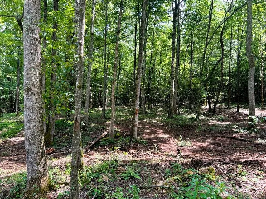 8 Pleasant Hill Road Ten Mile, TN 37880