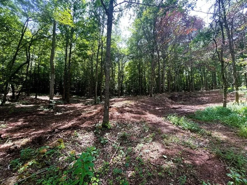 8 Pleasant Hill Road Ten Mile, TN 37880