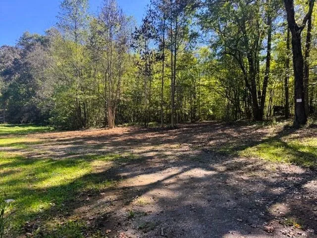 9 Pleasant Hill Road Ten Mile, TN 37880