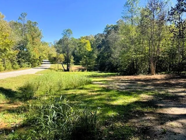 9 Pleasant Hill Road Ten Mile, TN 37880