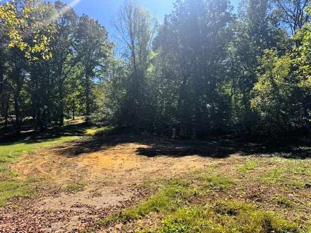 9 Pleasant Hill Road Ten Mile, TN 37880