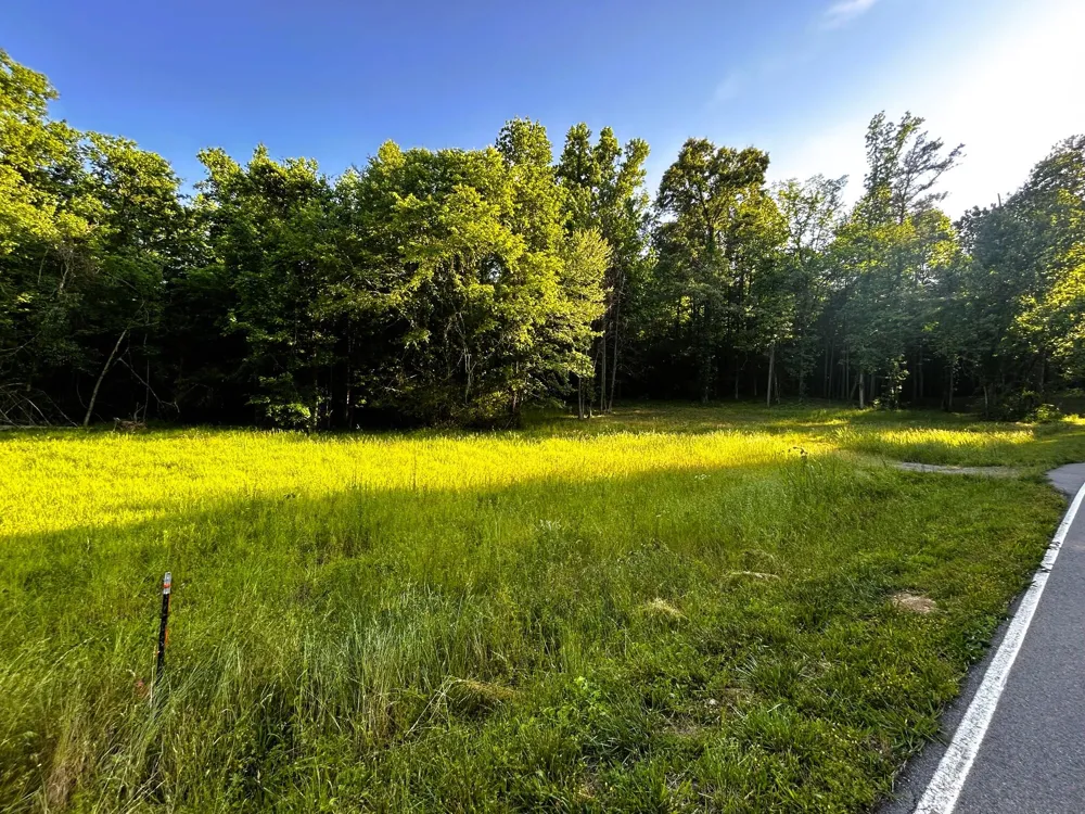 9 Pleasant Hill Road Ten Mile, TN 37880