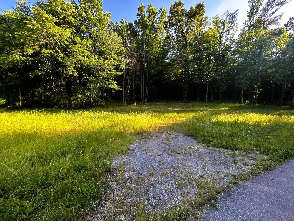 9 Pleasant Hill Road Ten Mile, TN 37880