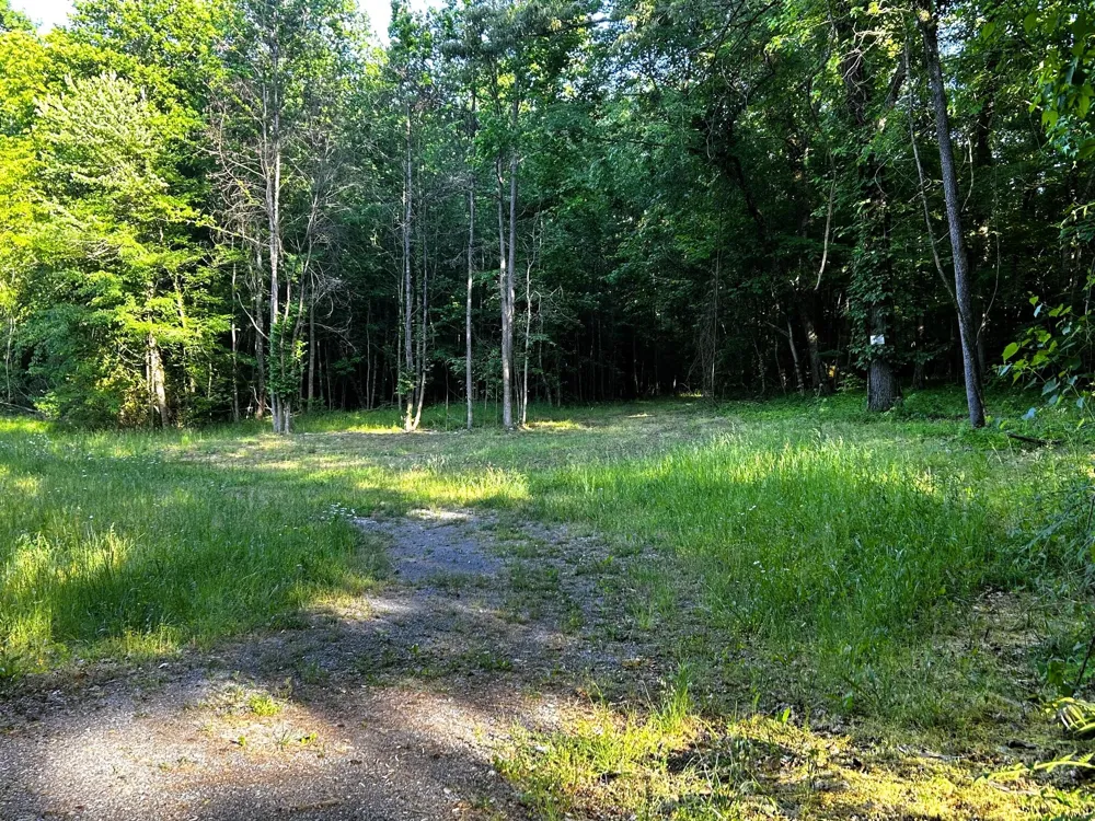 9 Pleasant Hill Road Ten Mile, TN 37880