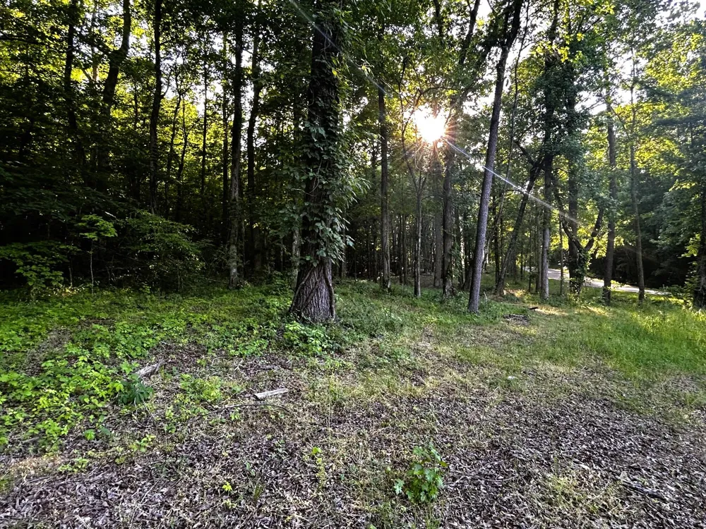9 Pleasant Hill Road Ten Mile, TN 37880