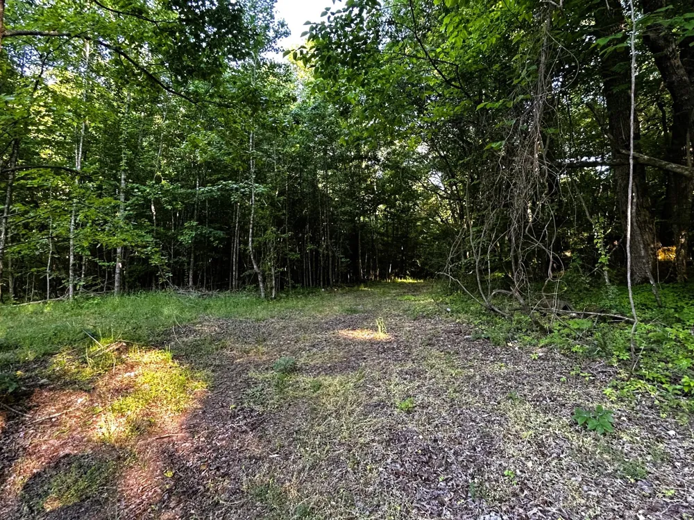 9 Pleasant Hill Road Ten Mile, TN 37880