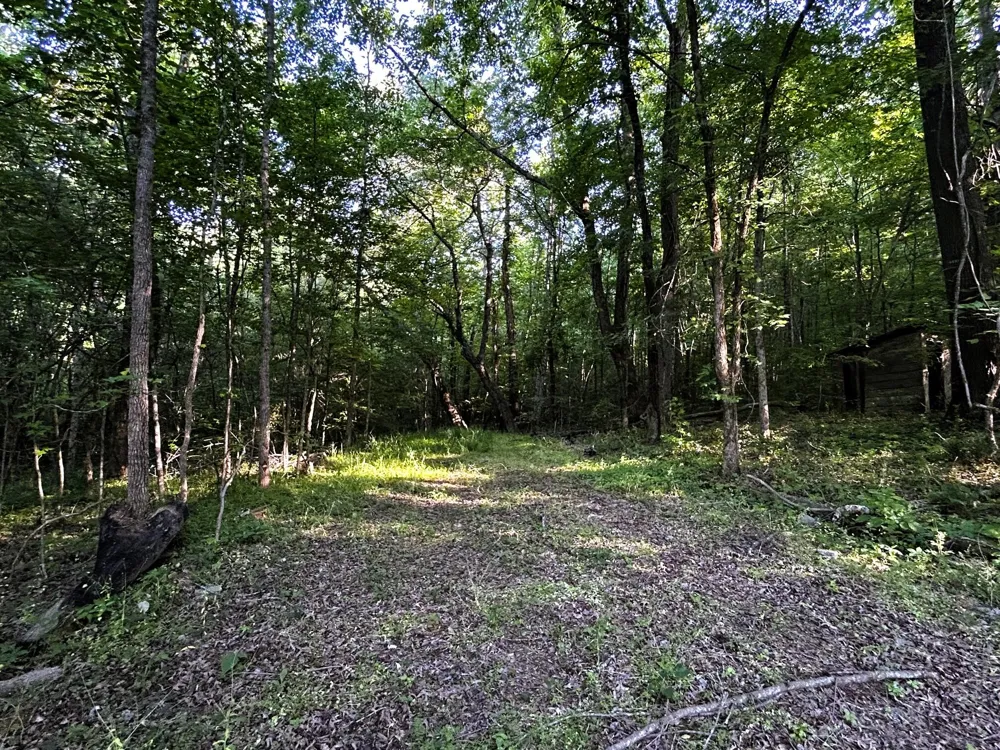 9 Pleasant Hill Road Ten Mile, TN 37880