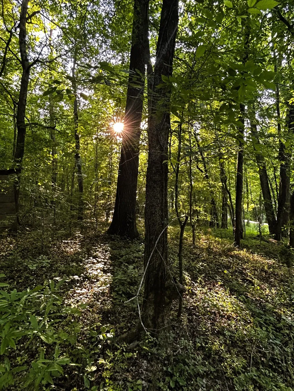 9 Pleasant Hill Road Ten Mile, TN 37880