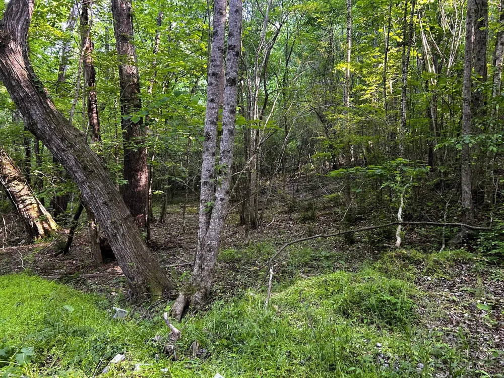 9 Pleasant Hill Road Ten Mile, TN 37880
