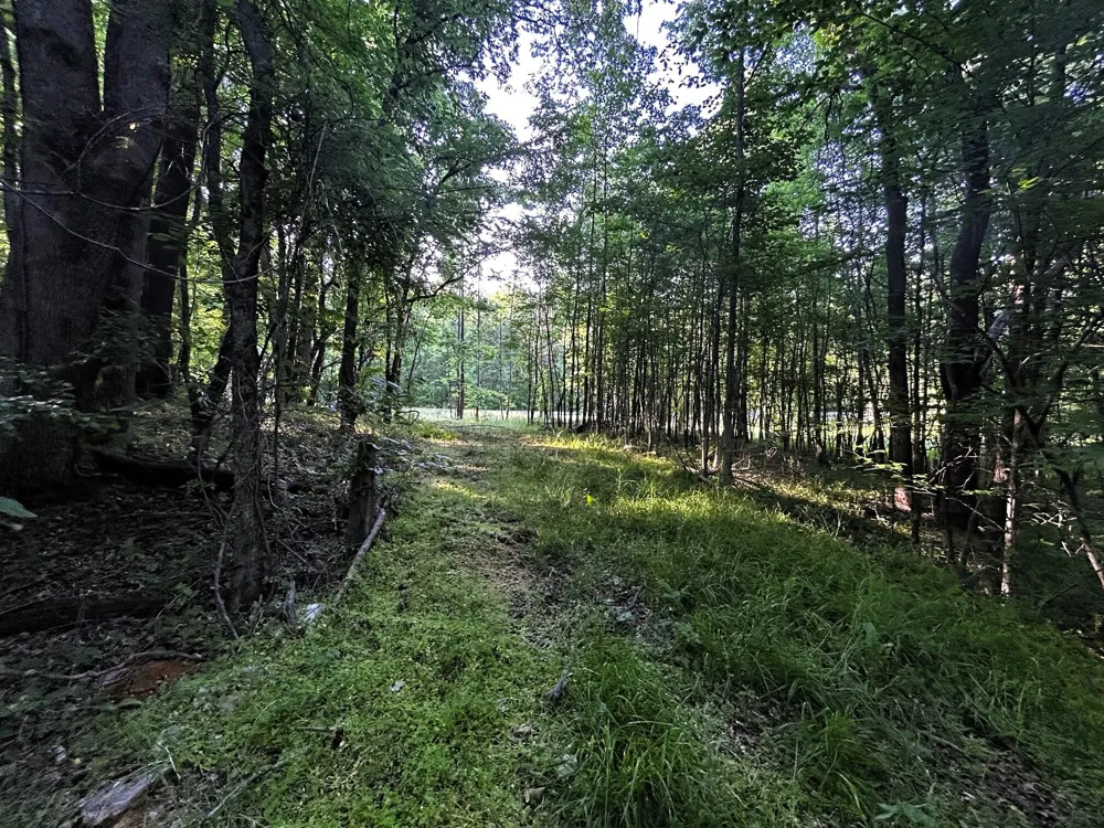 9 Pleasant Hill Road Ten Mile, TN 37880