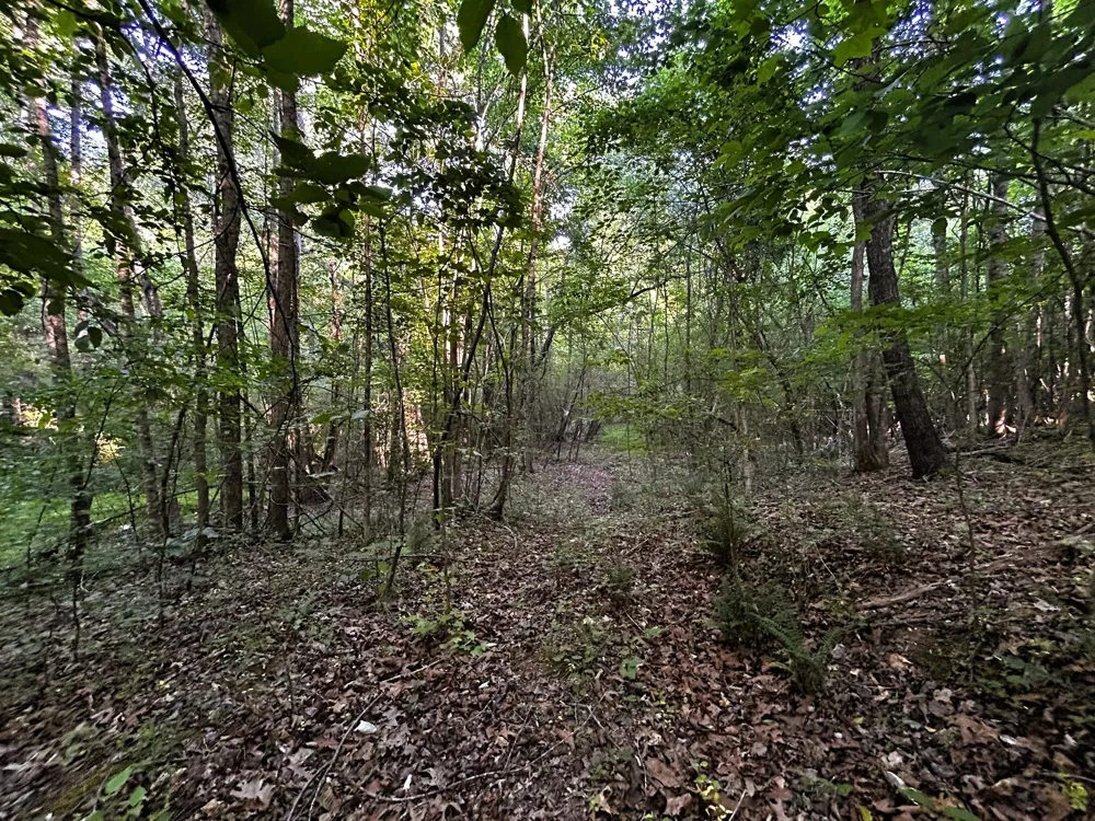9 Pleasant Hill Road Ten Mile, TN 37880