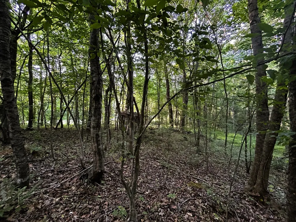 9 Pleasant Hill Road Ten Mile, TN 37880