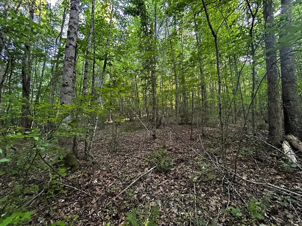 9 Pleasant Hill Road Ten Mile, TN 37880