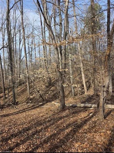 1065 Cedar Lane