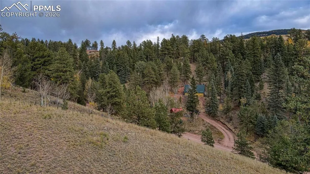 65 Portland Drive Cripple Creek, CO 80813