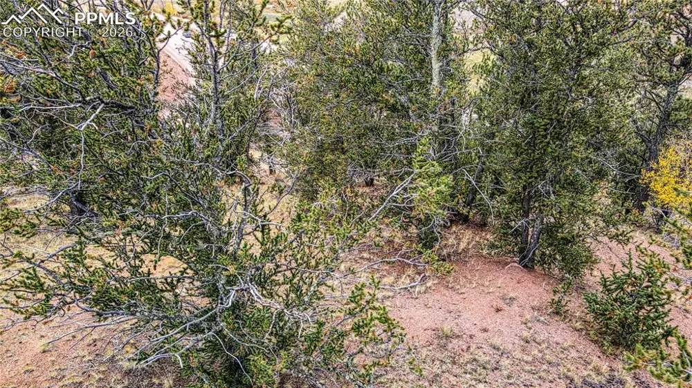 65 Portland Drive Cripple Creek, CO 80813