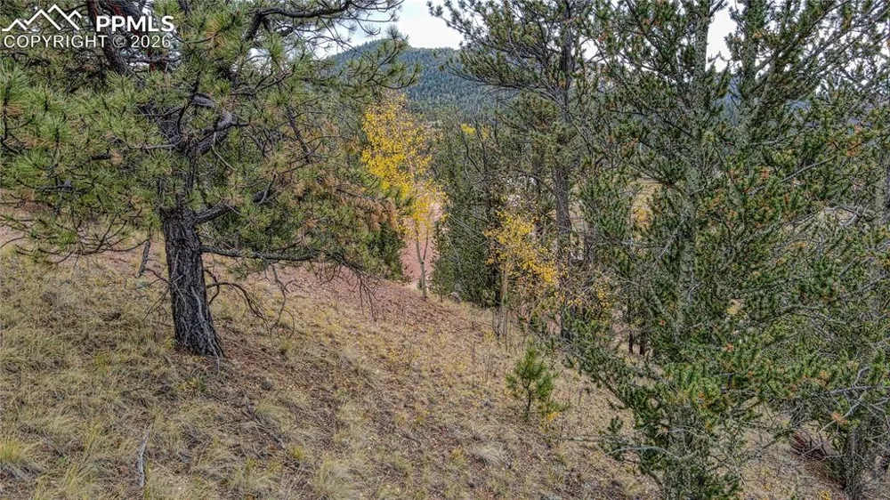 65 Portland Drive Cripple Creek, CO 80813