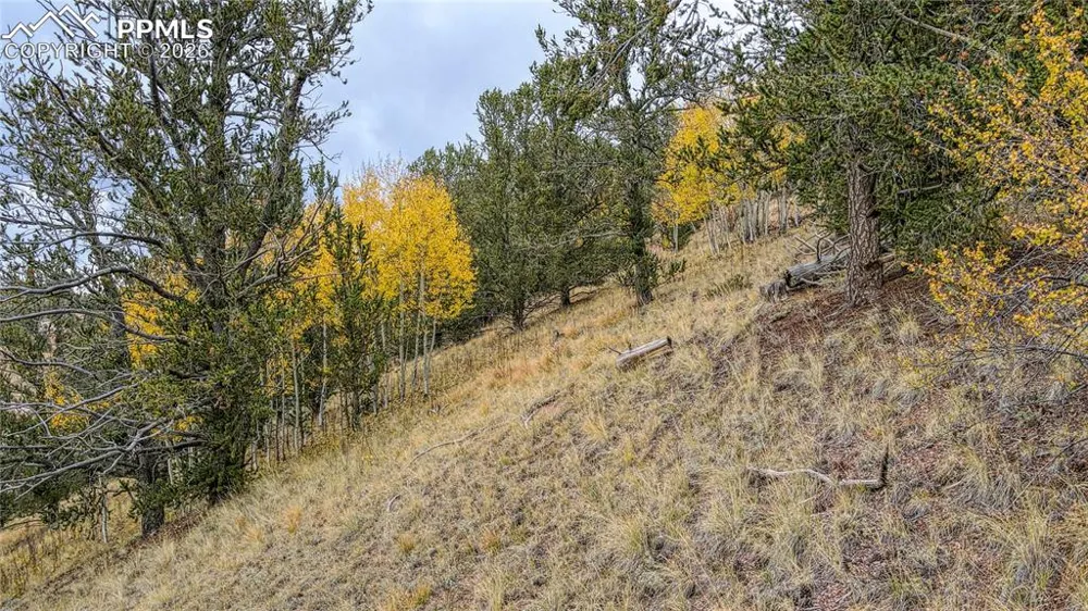 65 Portland Drive Cripple Creek, CO 80813