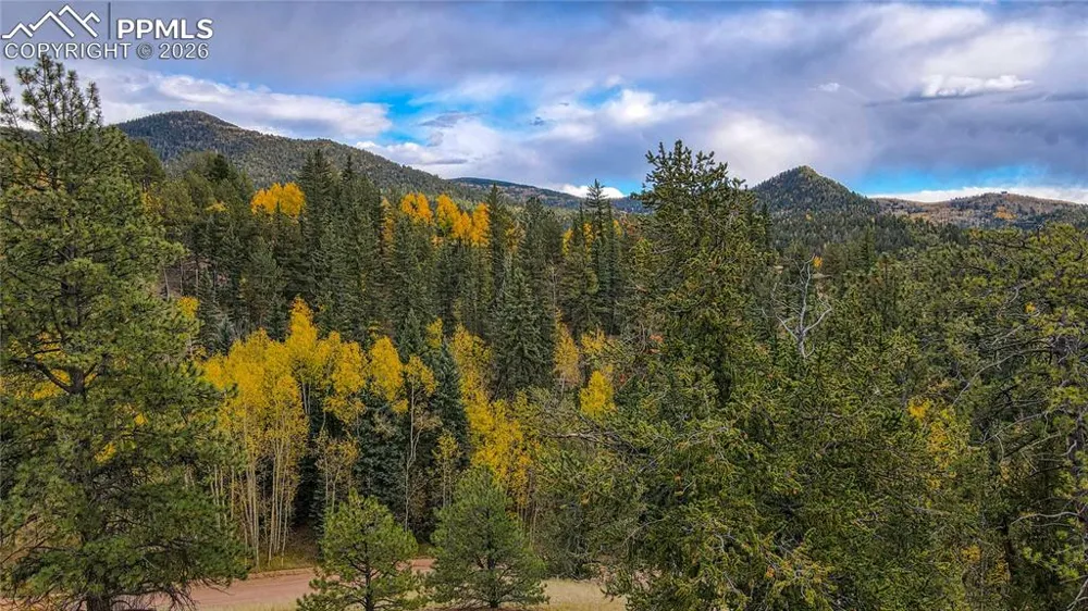 65 Portland Drive Cripple Creek, CO 80813