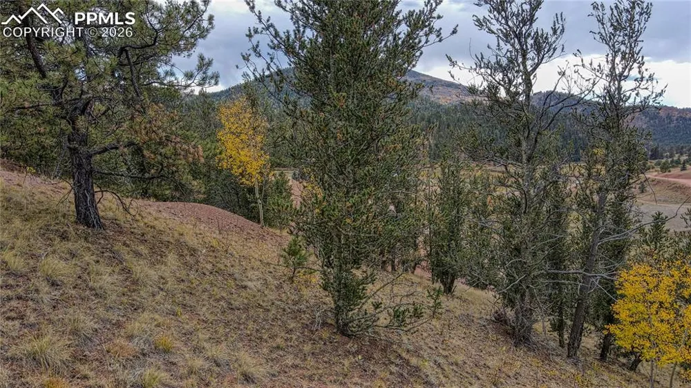 65 Portland Drive Cripple Creek, CO 80813