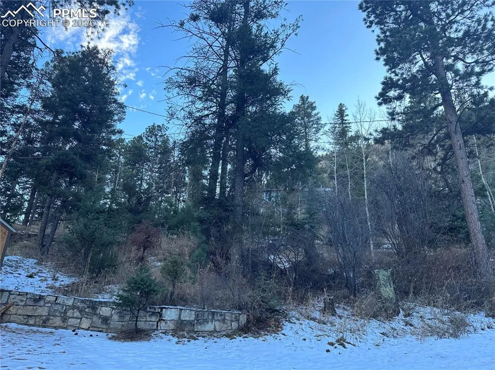 WildWood Road Cascade, CO 80809