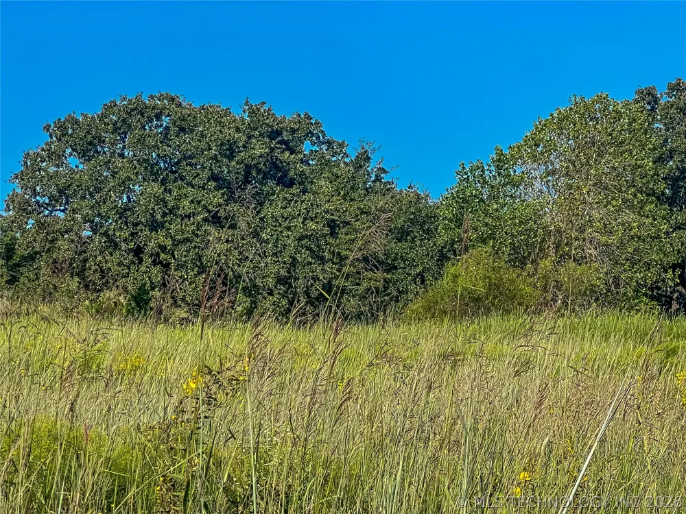 165175 3020 ROAD Foster, OK 73434