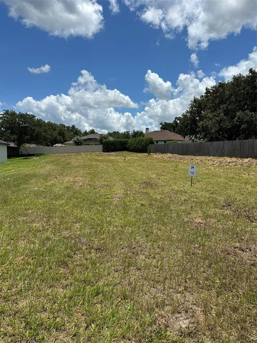 16000 MATANILLA DRIVE Clermont, FL 34711