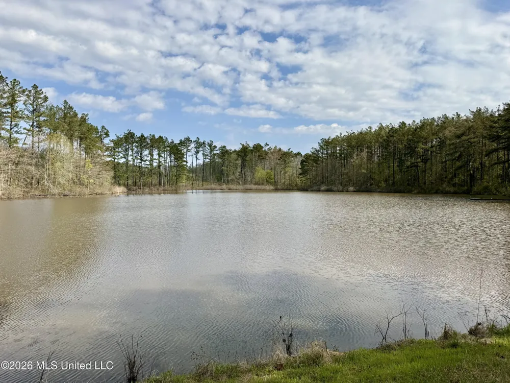 27979 Mississippi 12 Lexington, MS 39095