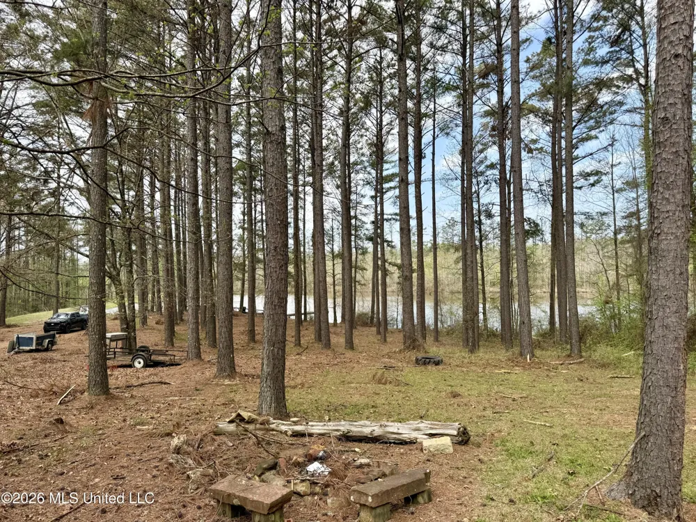 27979 Mississippi 12 Lexington, MS 39095