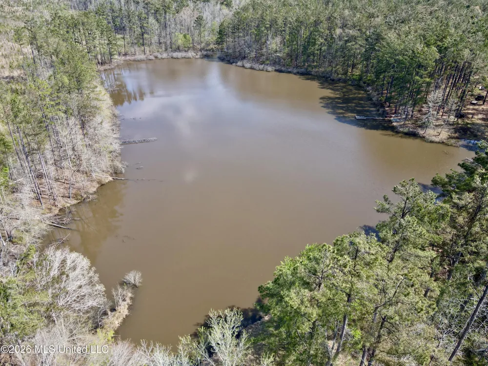 27979 Mississippi 12 Lexington, MS 39095