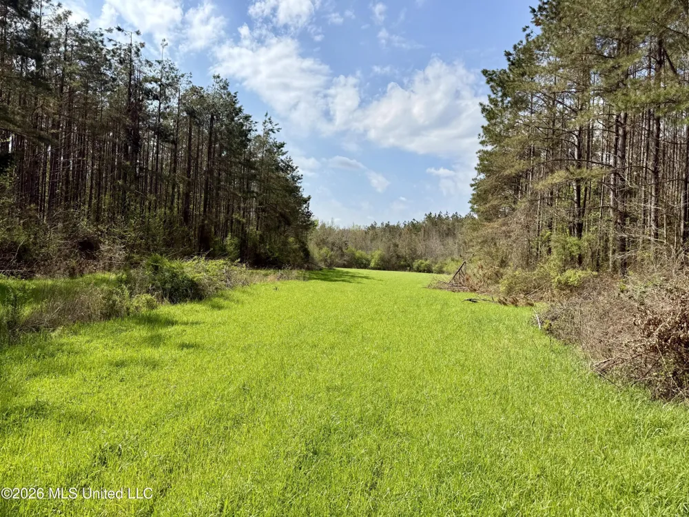 27979 Mississippi 12 Lexington, MS 39095