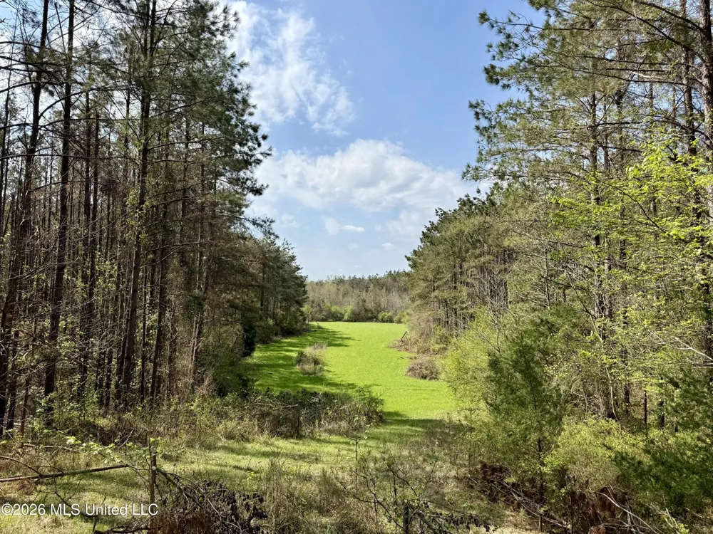 27979 Mississippi 12 Lexington, MS 39095