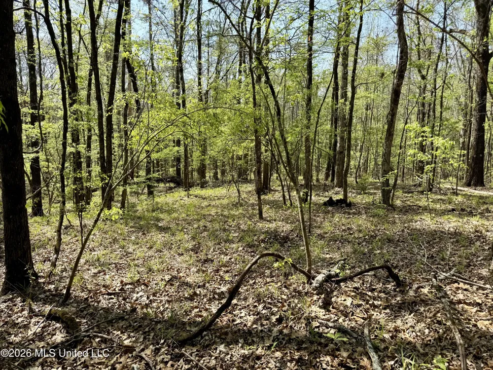 27979 Mississippi 12 Lexington, MS 39095