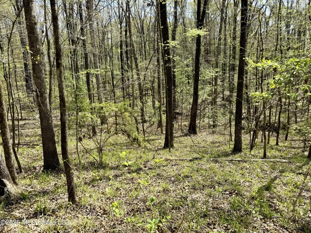 27979 Mississippi 12 Lexington, MS 39095