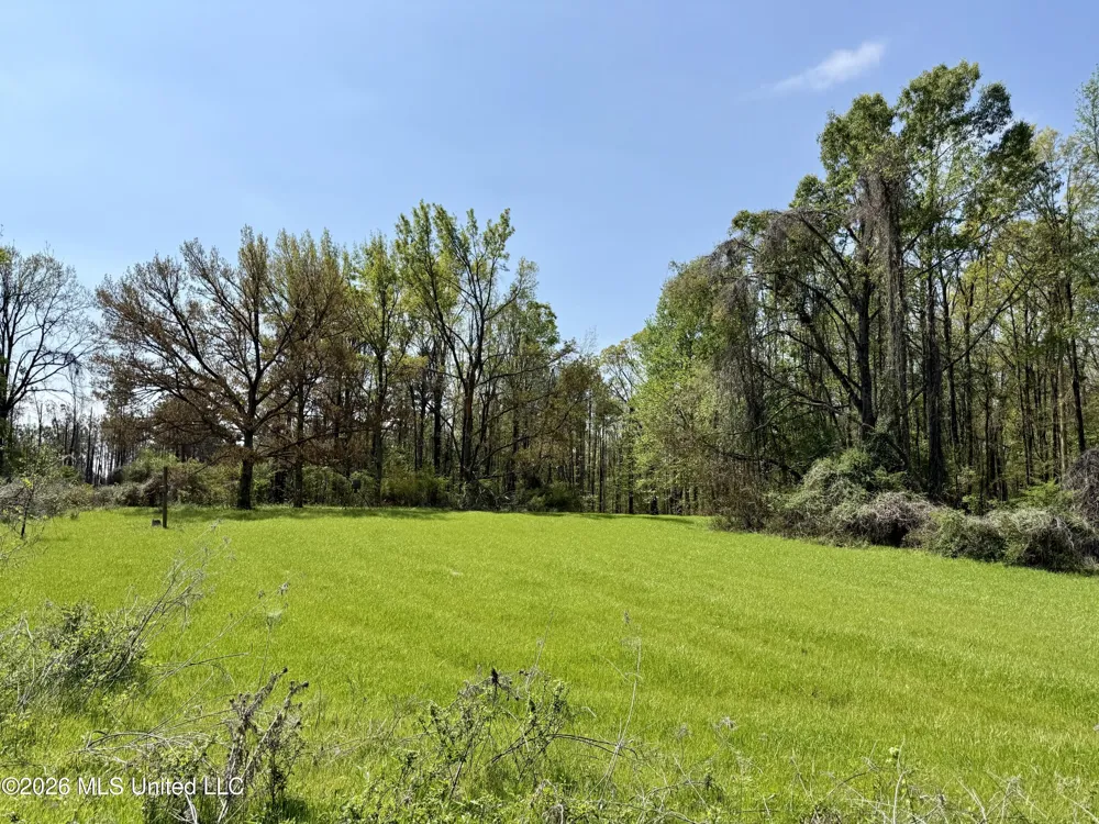 27979 Mississippi 12 Lexington, MS 39095
