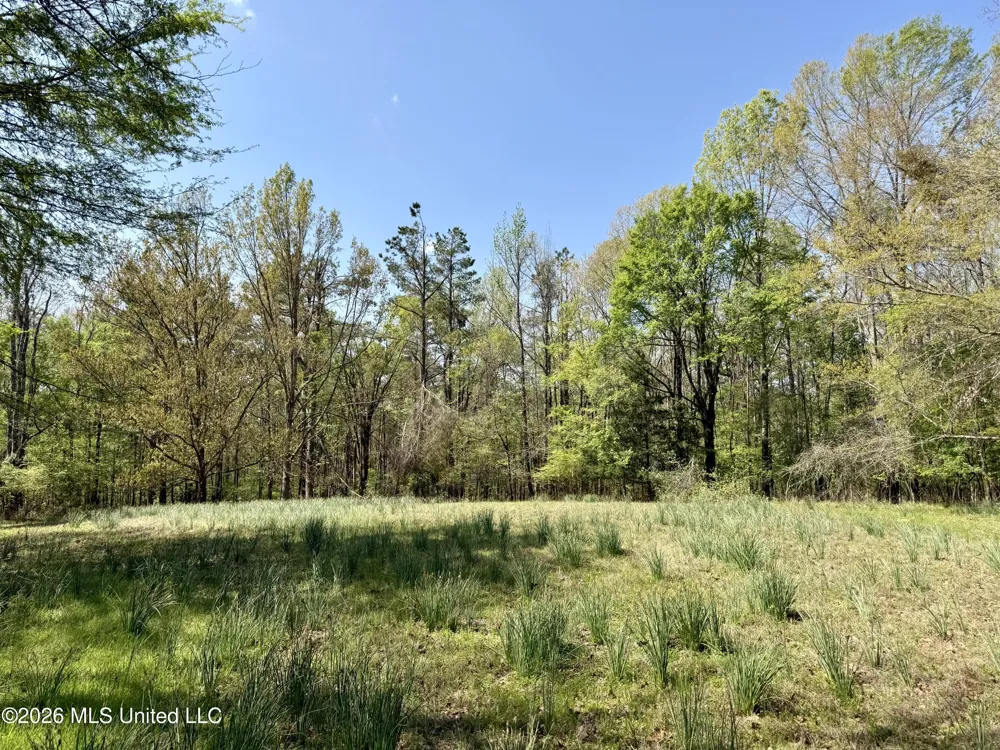 27979 Mississippi 12 Lexington, MS 39095
