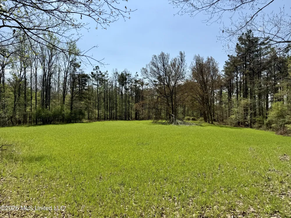 27979 Mississippi 12 Lexington, MS 39095