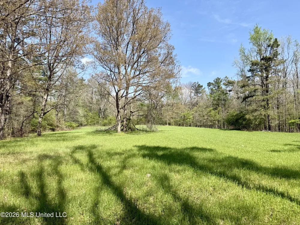 27979 Mississippi 12 Lexington, MS 39095
