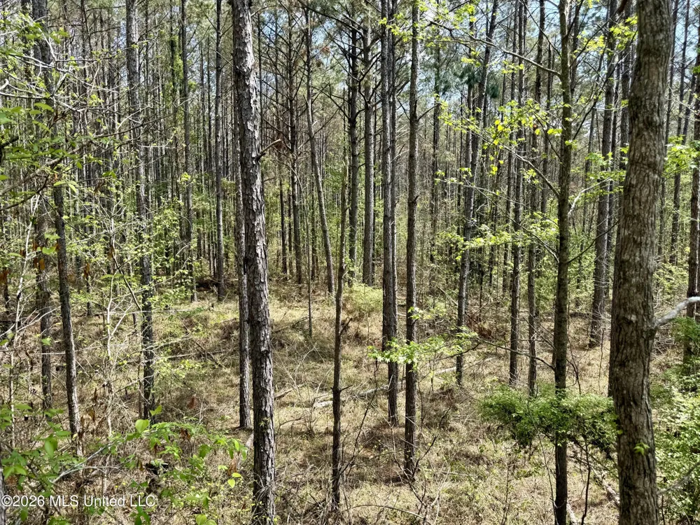 27979 Mississippi 12 Lexington, MS 39095
