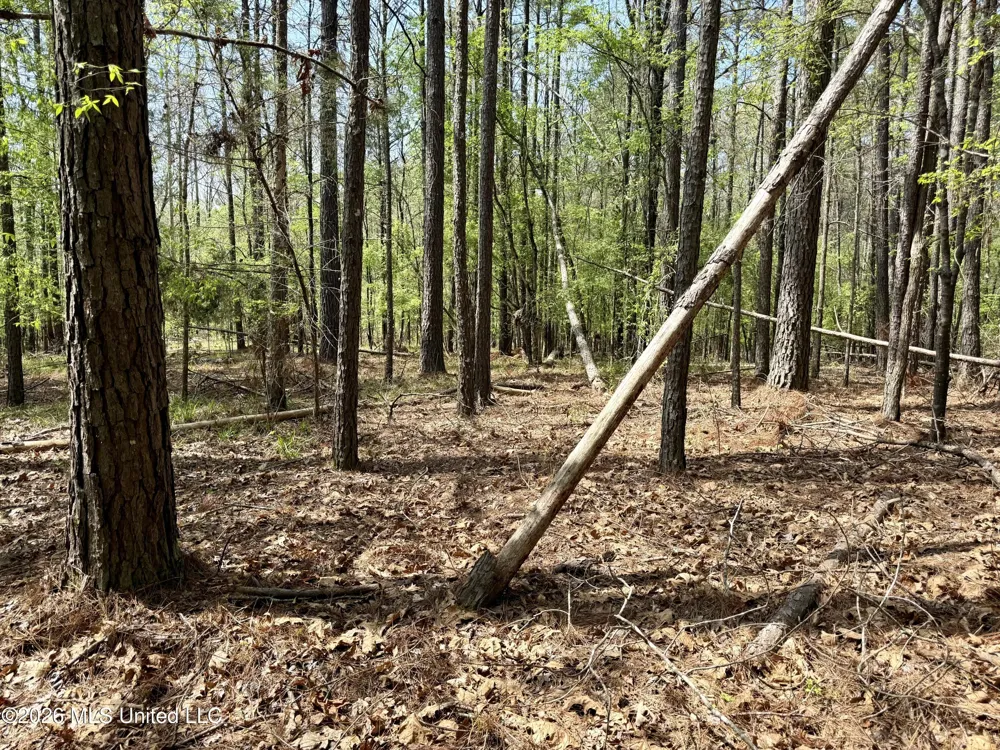 27979 Mississippi 12 Lexington, MS 39095