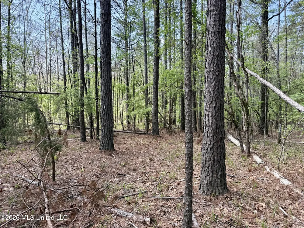 27979 Mississippi 12 Lexington, MS 39095