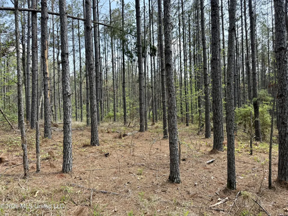 27979 Mississippi 12 Lexington, MS 39095