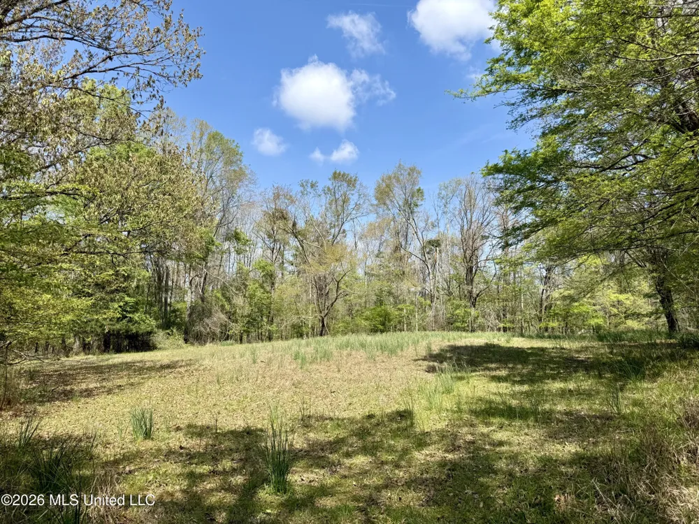 27979 Mississippi 12 Lexington, MS 39095