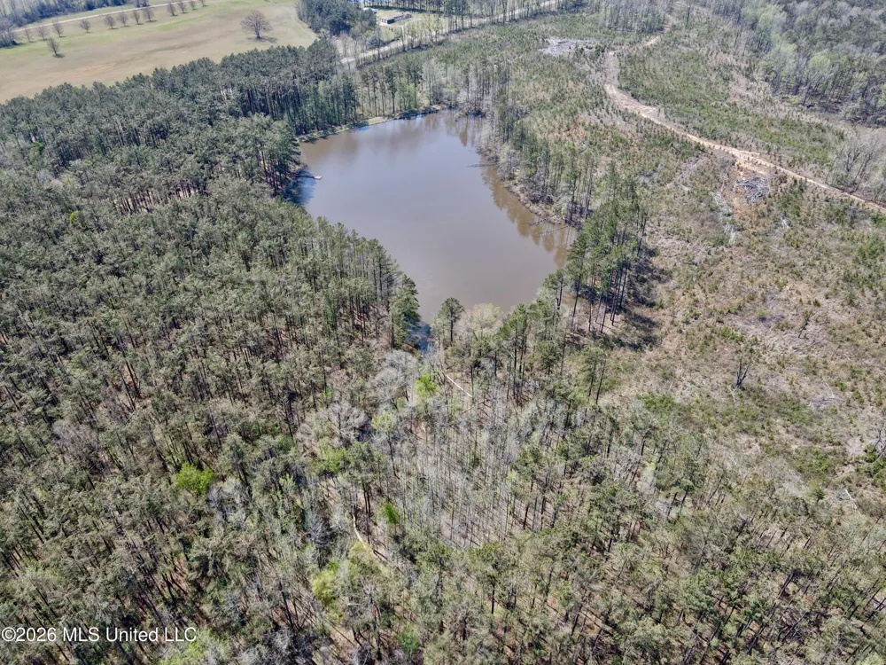 27979 Mississippi 12 Lexington, MS 39095