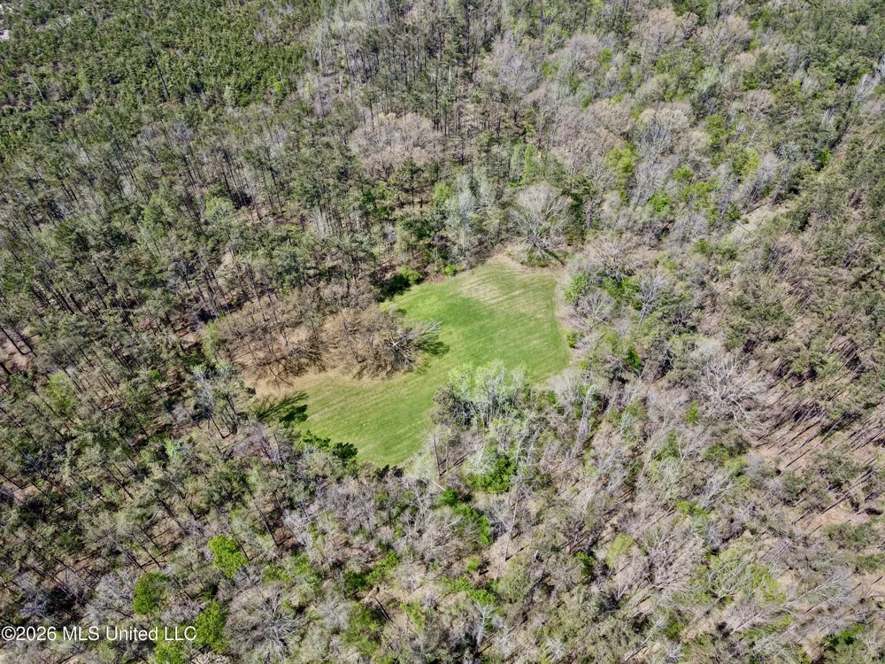 27979 Mississippi 12 Lexington, MS 39095